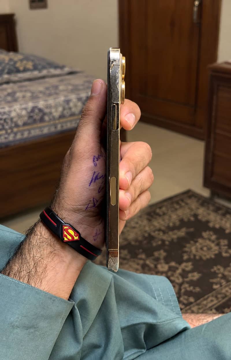 Apple iPhone 13 Pro Max 1
