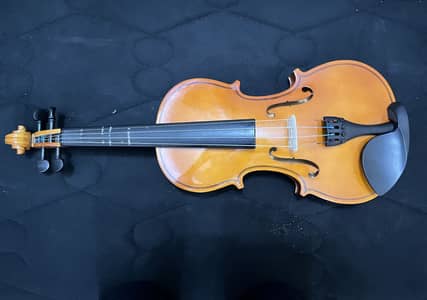 4/4 fiber body violin