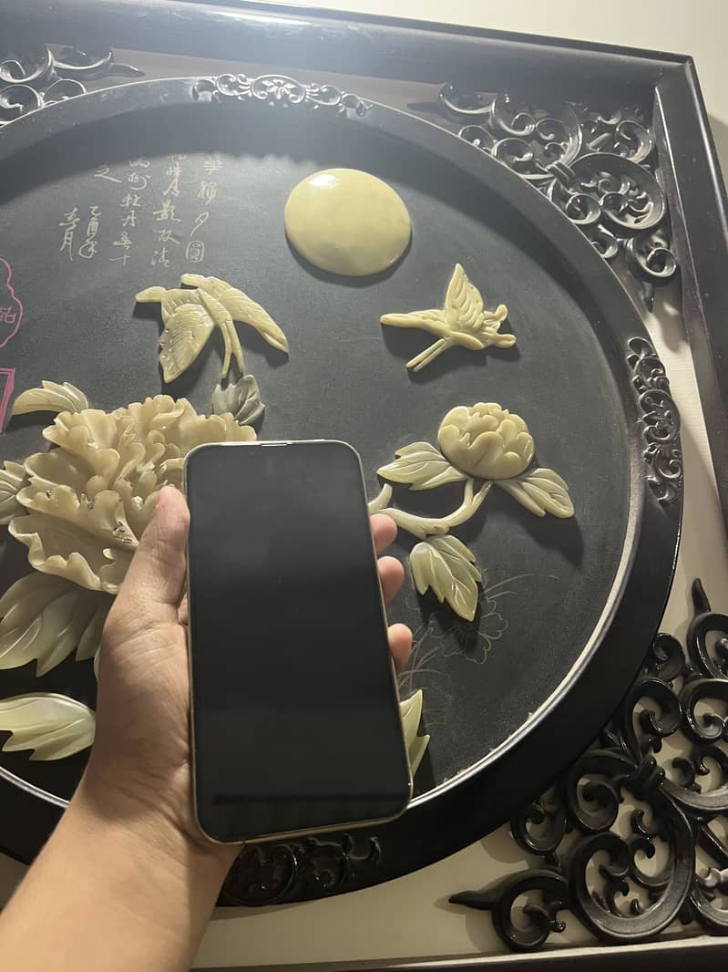 Apple iPhone 13 Pro Max 0
