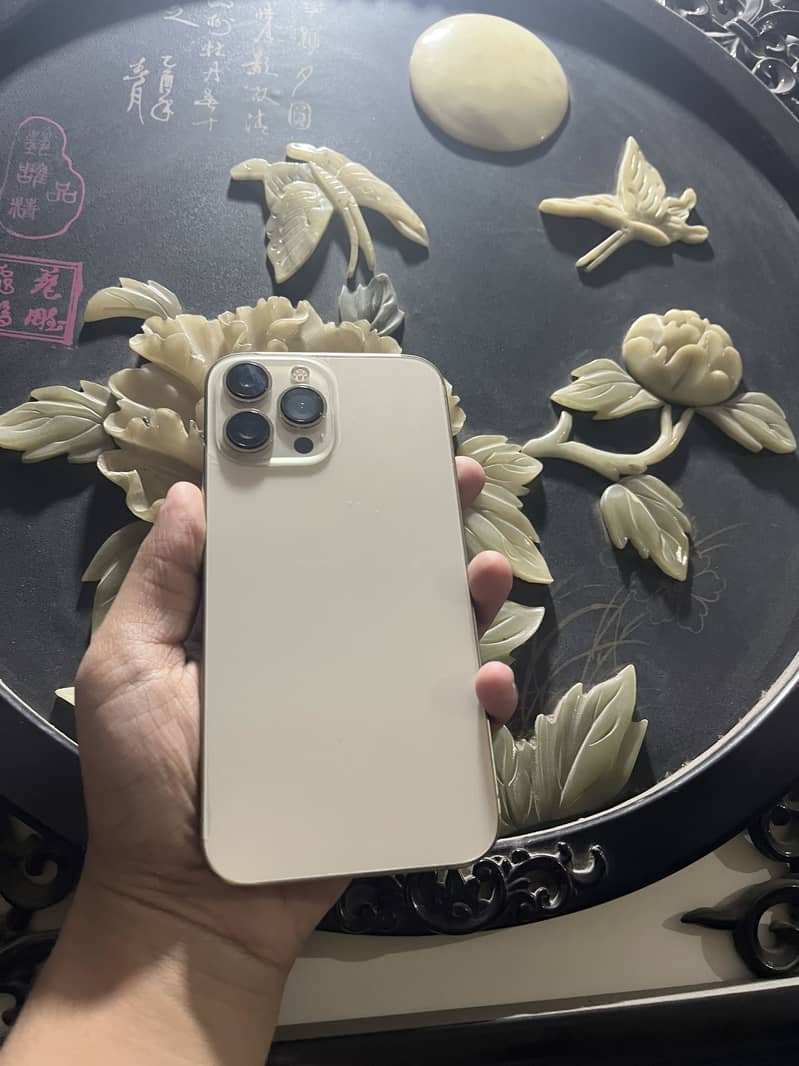 Apple iPhone 13 Pro Max 2