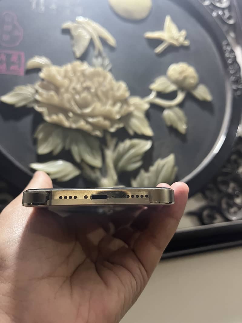 Apple iPhone 13 Pro Max 4