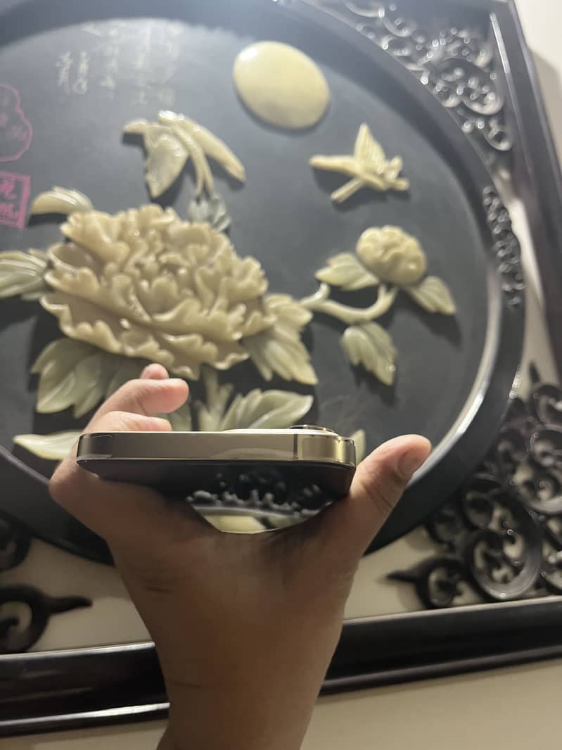 Apple iPhone 13 Pro Max 6