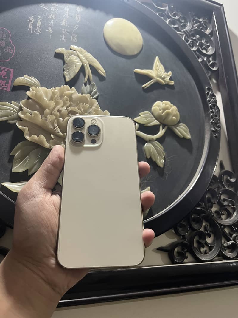 Apple iPhone 13 Pro Max 7