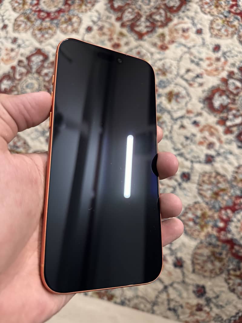 iPhone 17 Pro Max 1