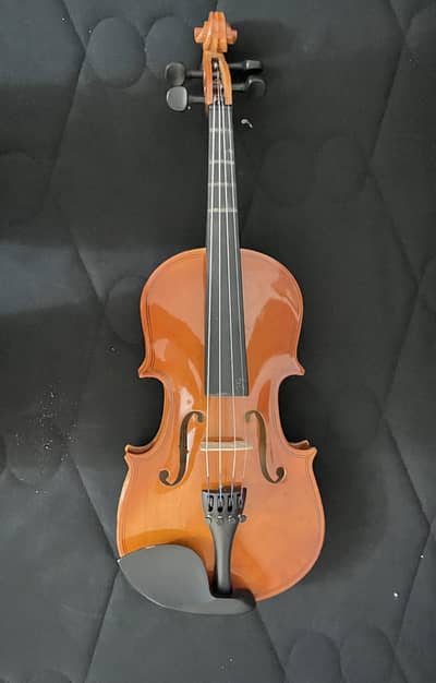 Hi-volts 1/2 wooden body violin.