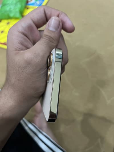 Apple iPhone 12 Pro Max