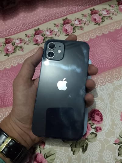 iPhone 12 blue edition