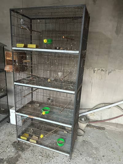 Raw Breeding Cage And Love birds breeding Cages available