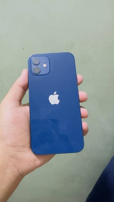 Apple iPhone 12