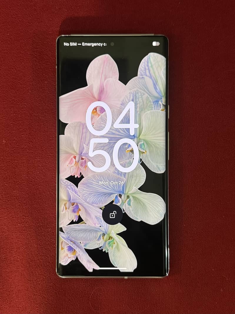 Google Pixel 6 Pro 1