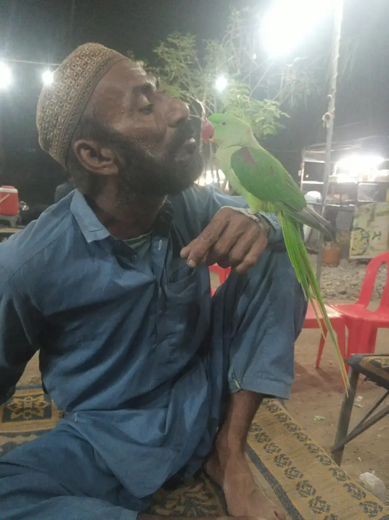 PAHARI KA PATTHA HE FULL HANDTOME HE BAAT KARNA START HOGAYA HE — photo 5