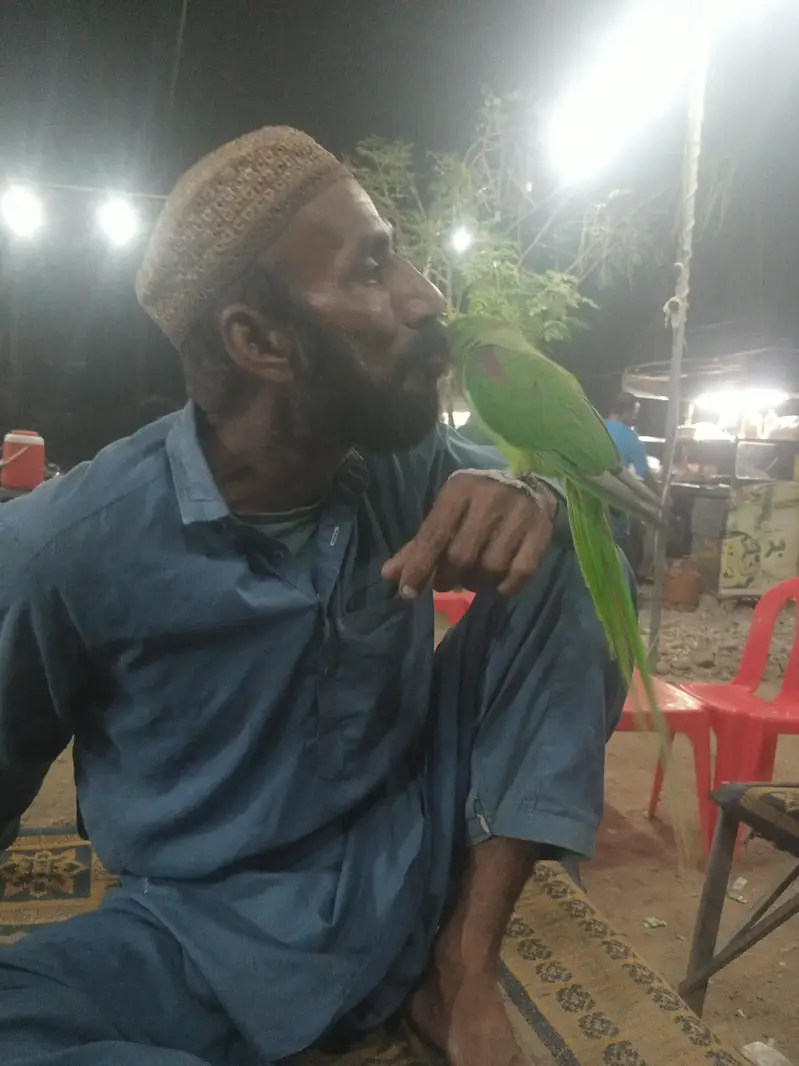 PAHARI KA PATTHA HE FULL HANDTOME HE BAAT KARNA START HOGAYA HE — photo 7