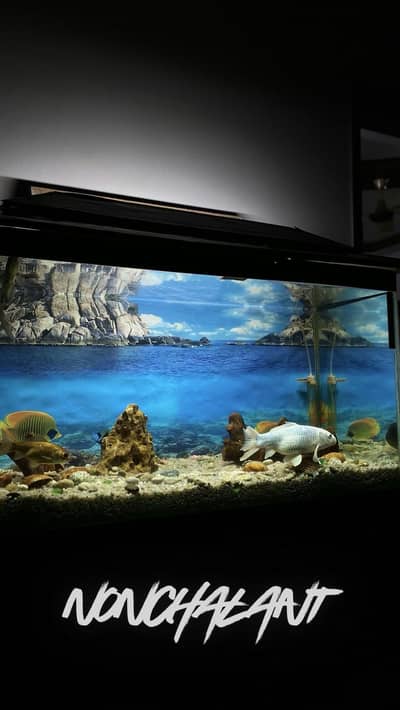 Fish Acqurium in Running condition