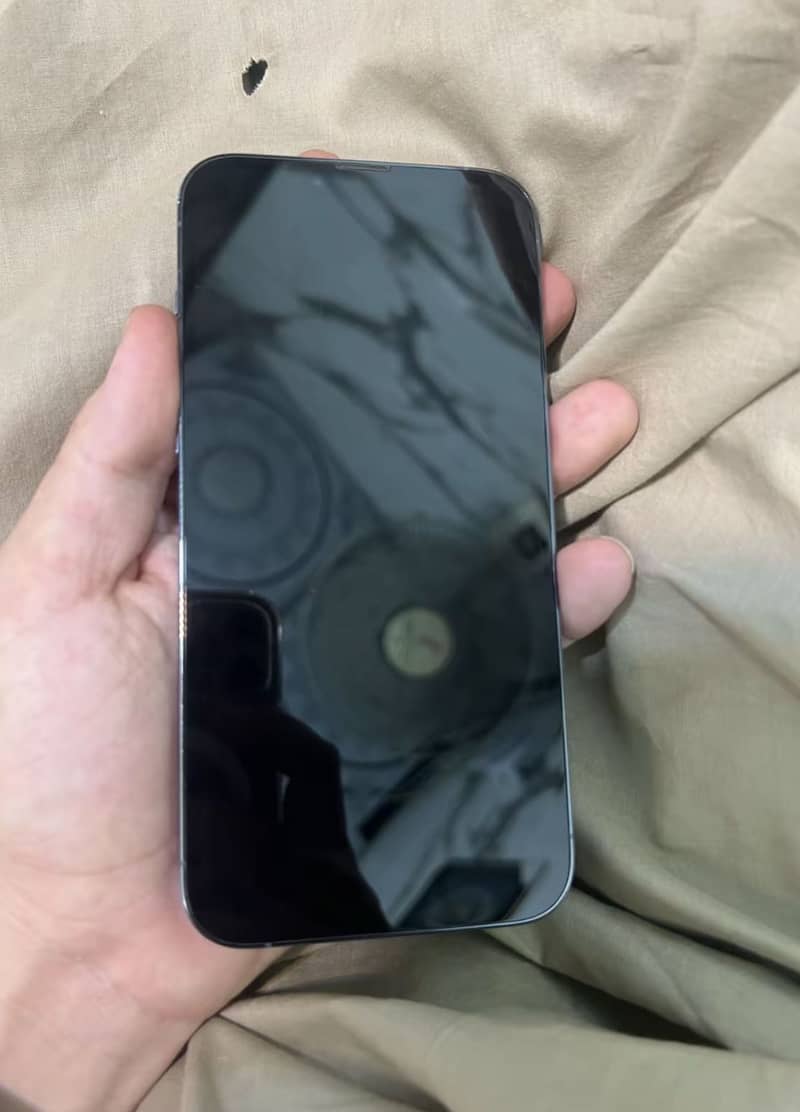 Apple iPhone 13 Pro Max 0