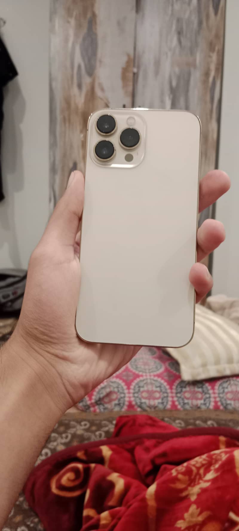 Apple iPhone 13 Pro Max 1
