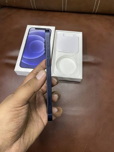 Apple iPhone 12 256 gb pta approved