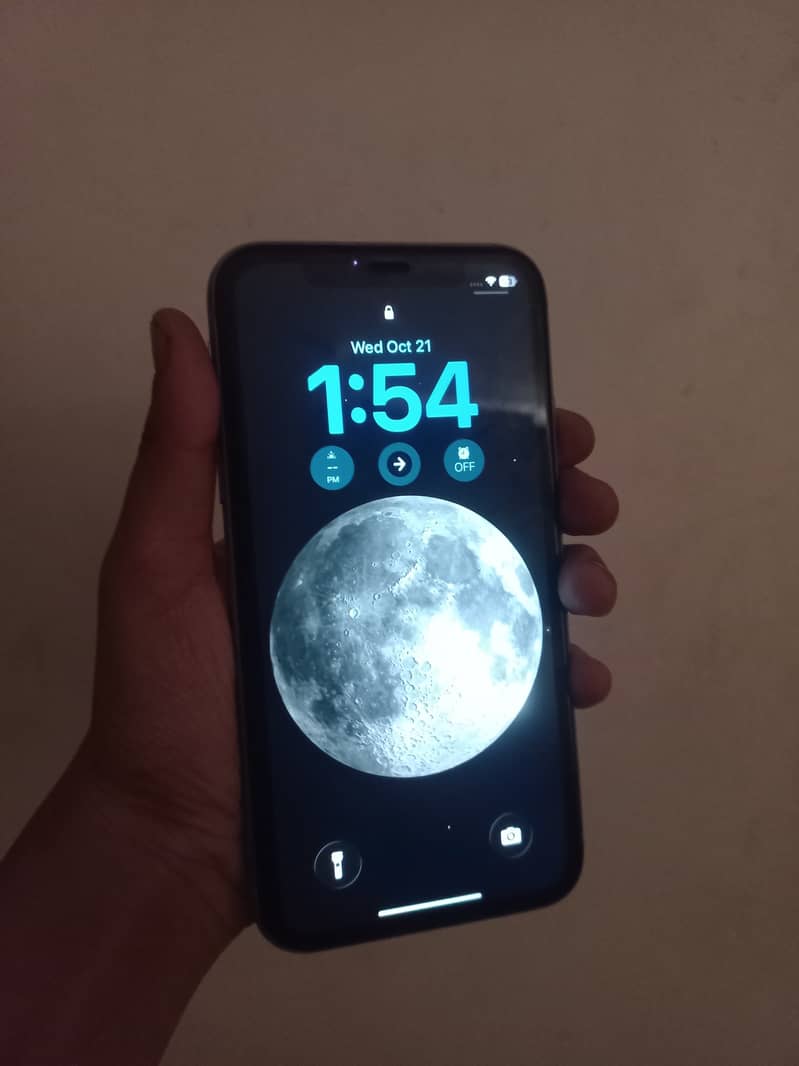 Apple iPhone 11 0