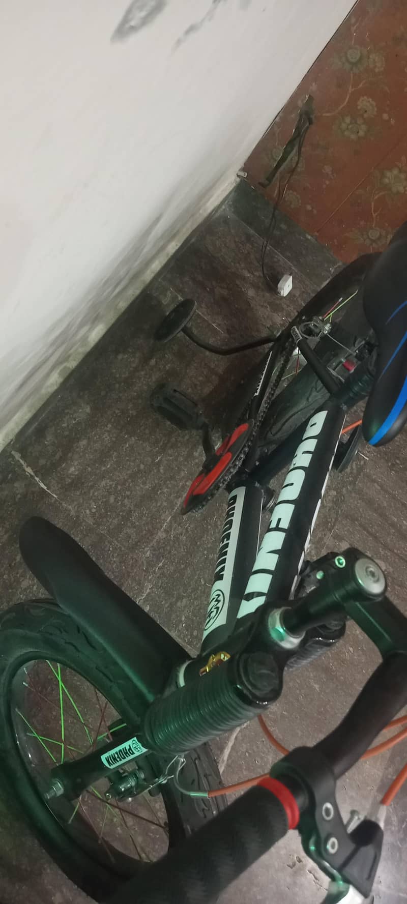 bicycle 1