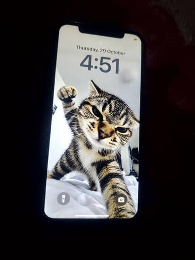 Apple iPhone XS