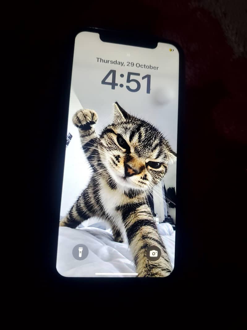 Apple iPhone XS 0