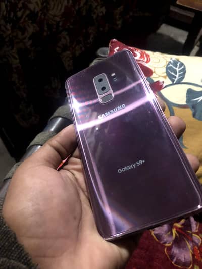 contact only whatsapp
