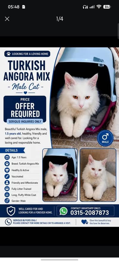 Turkish Agora