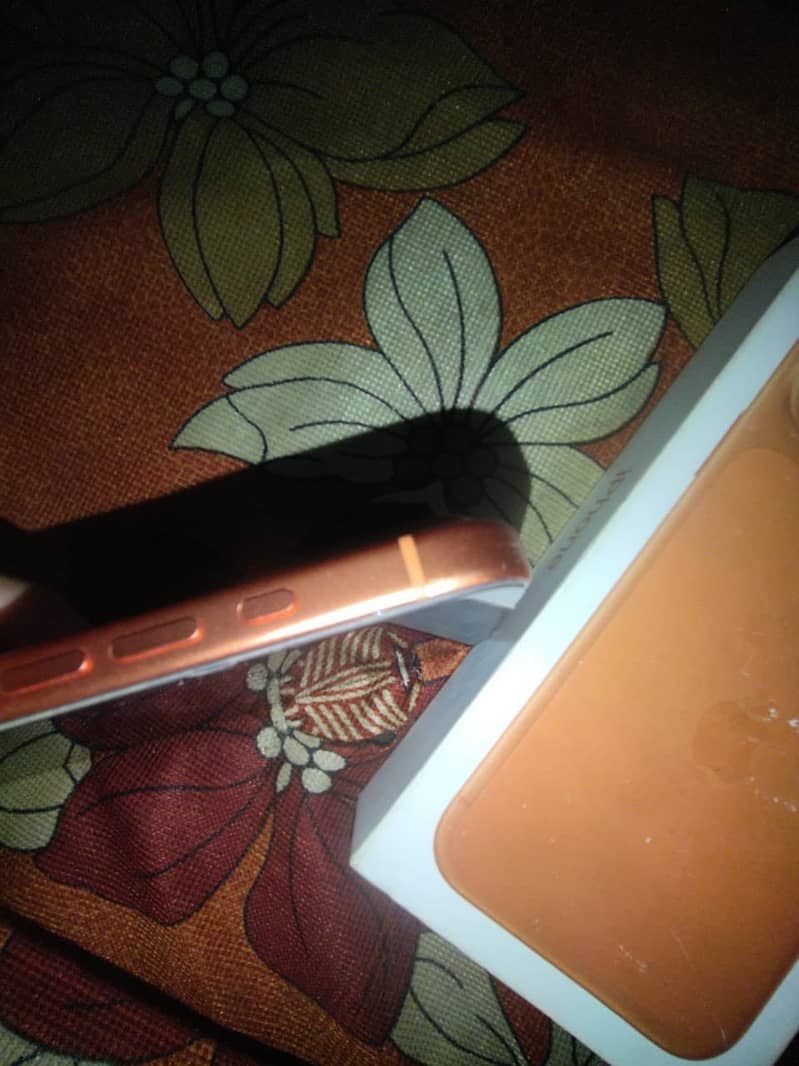 Apple iPhone 17 Pro Max 4