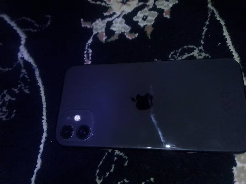 Apple iPhone 11 0