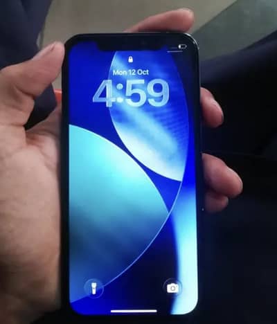 Apple iPhone 12