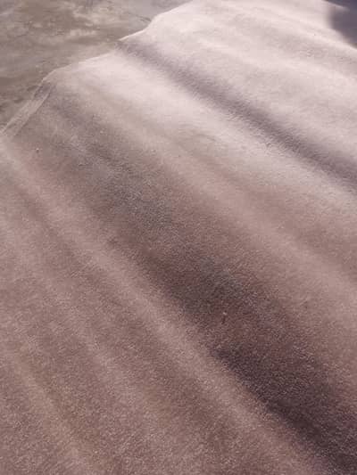 Premium Heavy Duty Wall-to-Wall Carpet - Thick & Warm