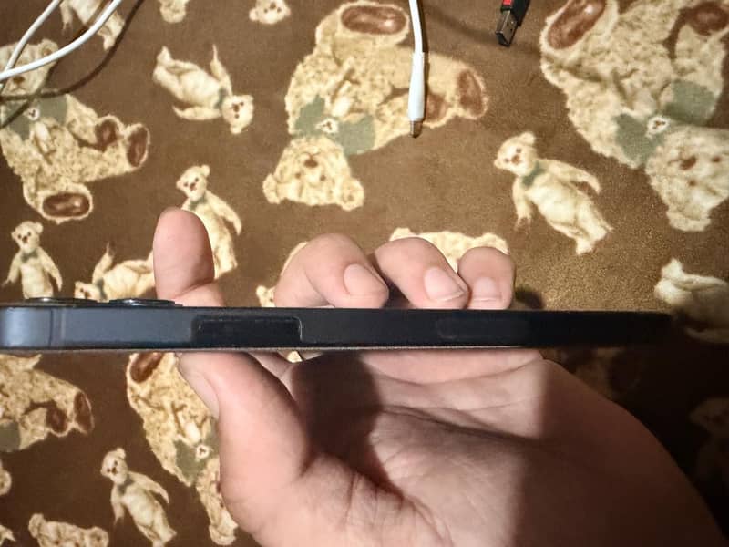 Apple iPhone 12 1