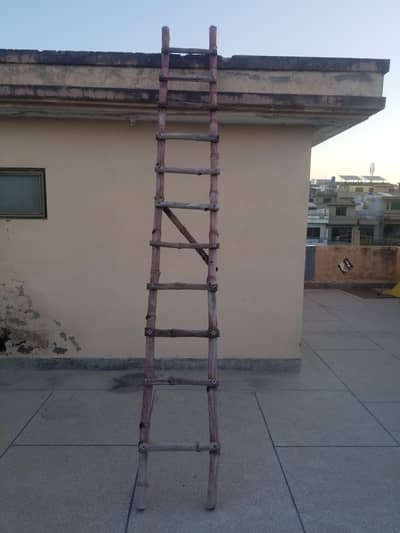 Ladder Bamboo 18 ft