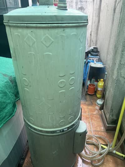 Electric and gas geyser