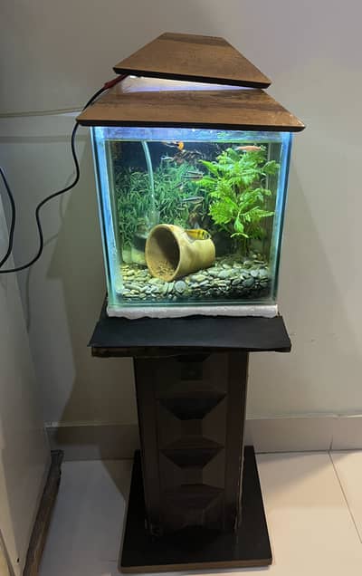 Small Aquarium Set