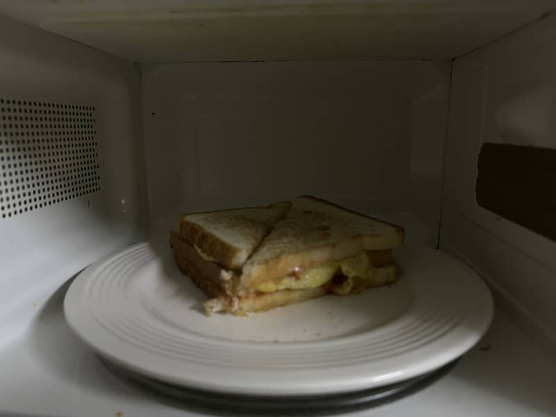PEL Microwave 1