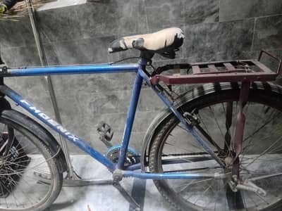 Phoenix new bicycle