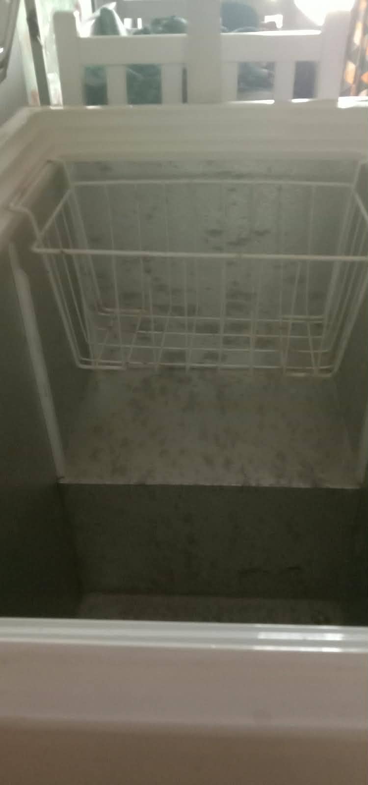 Pel deep freezer 1