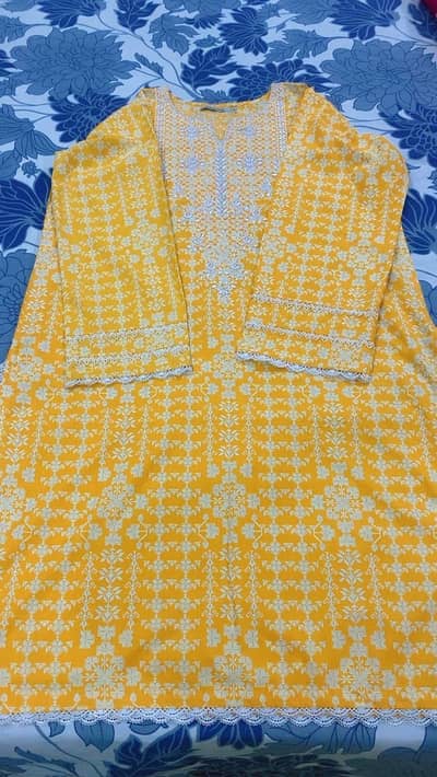 Preloved Embrioded kurti