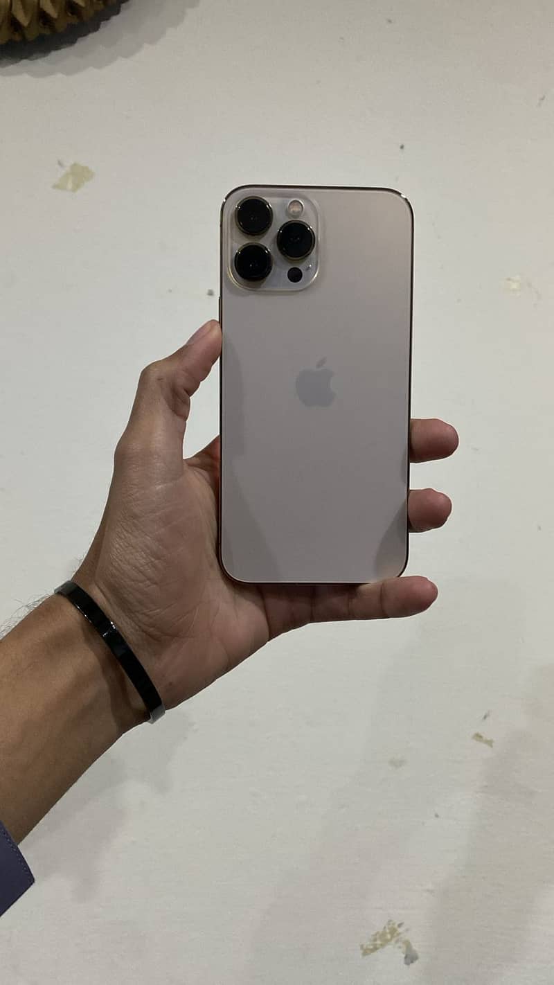 Apple iPhone 13 Pro Max 1