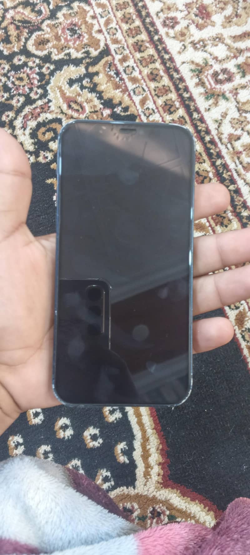 Apple iPhone 12 2