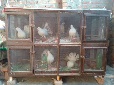 Made by wood