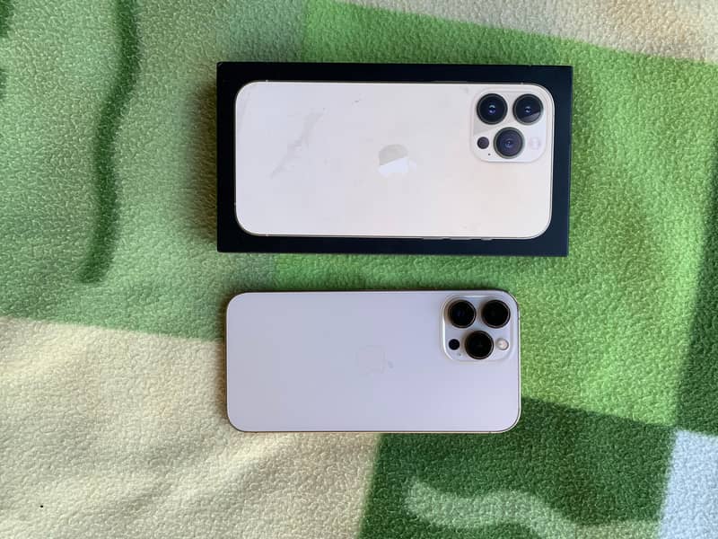 Apple iPhone 13 Pro Max 1
