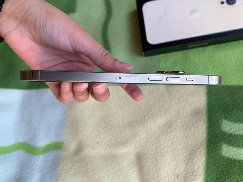 Apple iPhone 13 Pro Max 2