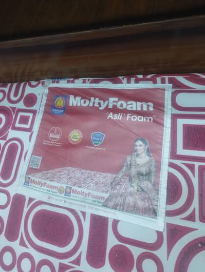 Master Molty Foam