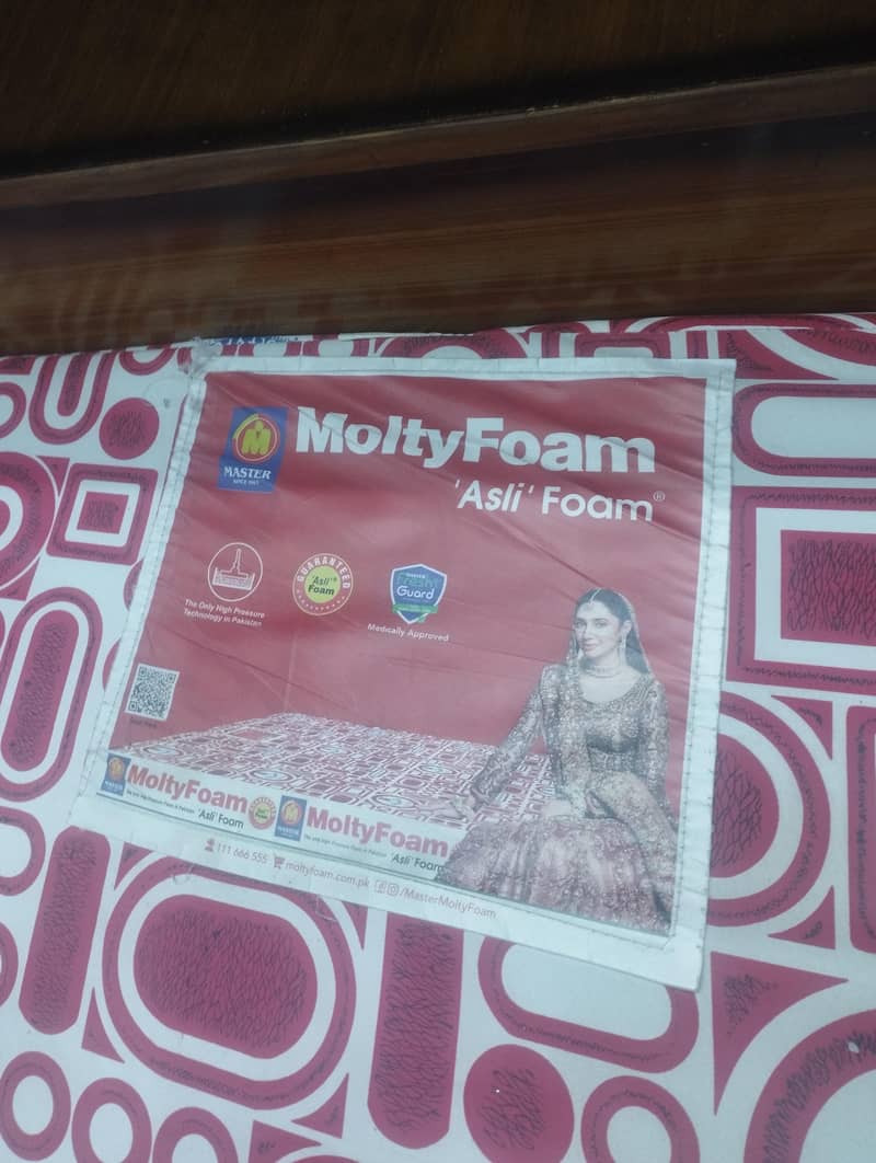 Master Molty Foam 0