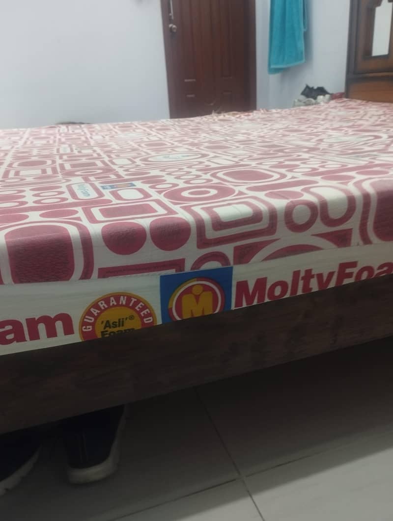 Master Molty Foam 4