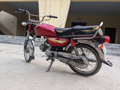 Ravi bile for sale
