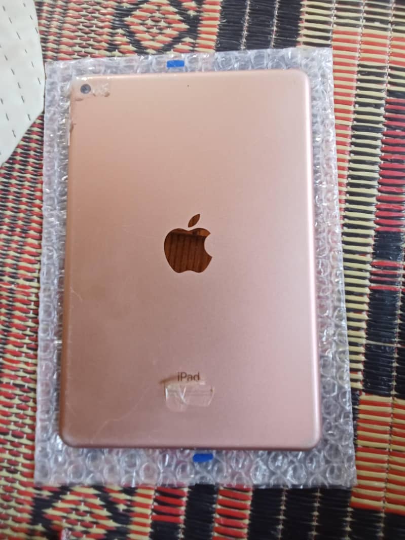 ipad mini 5 1
