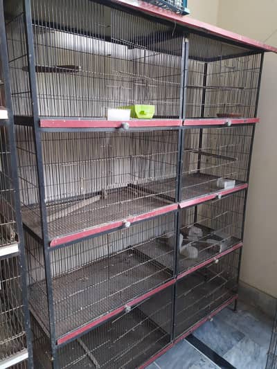 Birds Cage