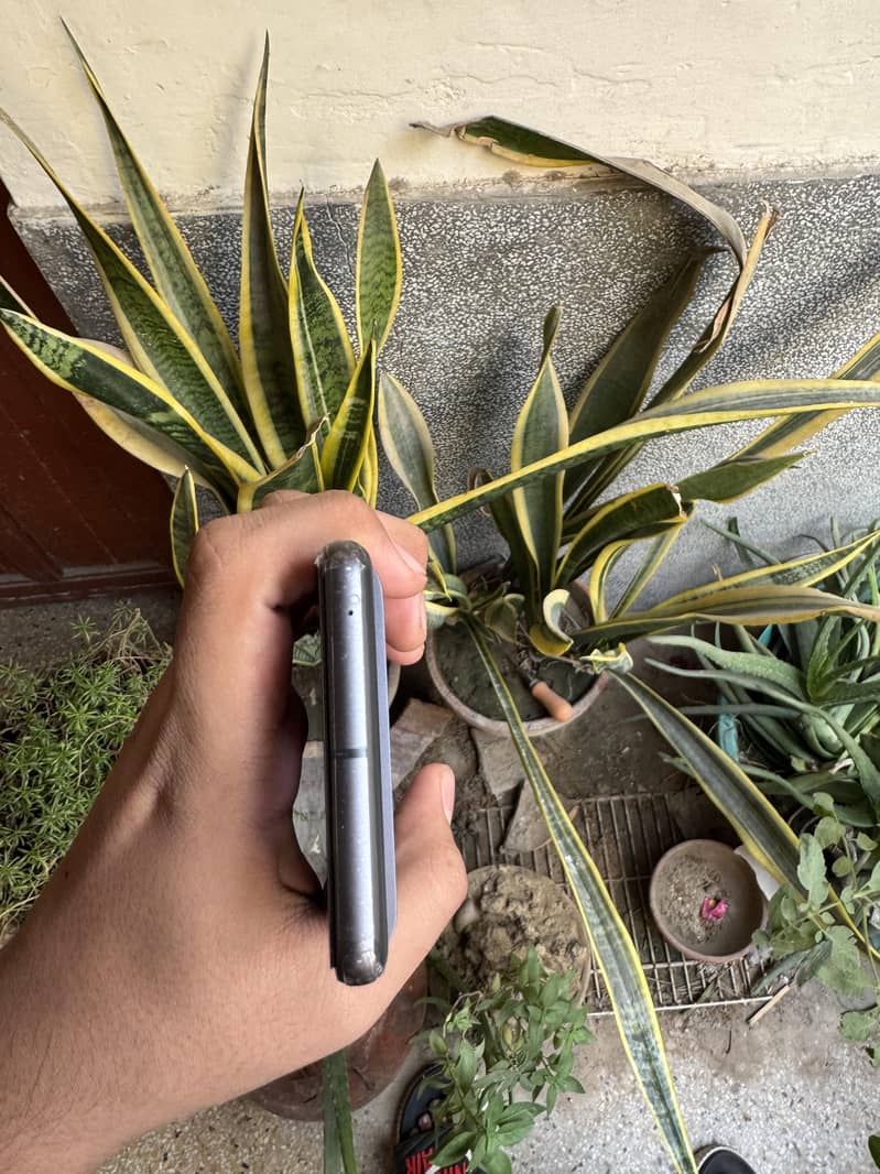 Google Pixel 7 7